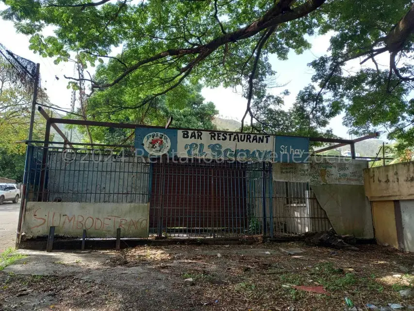 Terreno (Comercial) en Venta en Las Palmas, Guarico - 5