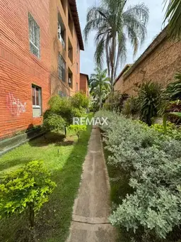 Vista 11