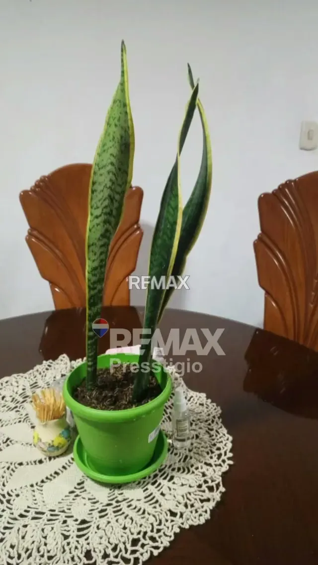 Casa en venta - 7