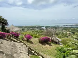 View 11