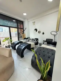 Vista 6