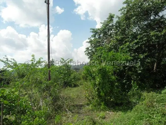 Terreno (Comercial) en Alquiler en Yagua, Carabobo - 12