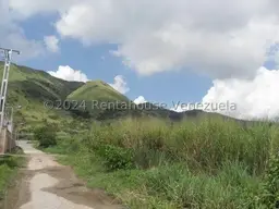 Vista 26