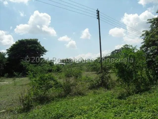 Terreno (Comercial) en Alquiler en Yagua, Carabobo - 8