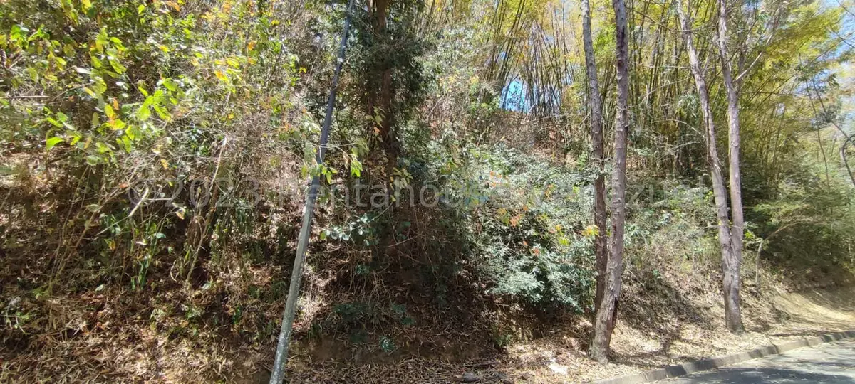 Terreno (Comercial) en Venta en El Hatillo, Distrito Metropolitano - 6