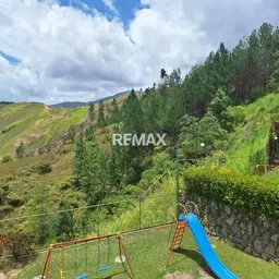 Vista 4