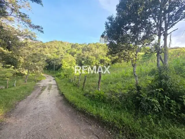 SE VENDE TERRENO En la Llanada, Vía Casa Del Padre, Municipio Lobatera, Táchira