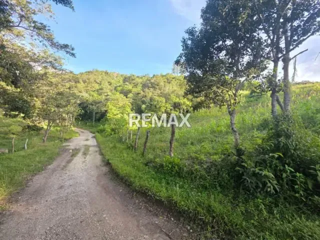 SE VENDE TERRENO En la Llanada, Vía Casa Del Padre, Municipio Lobatera, Táchira - 2