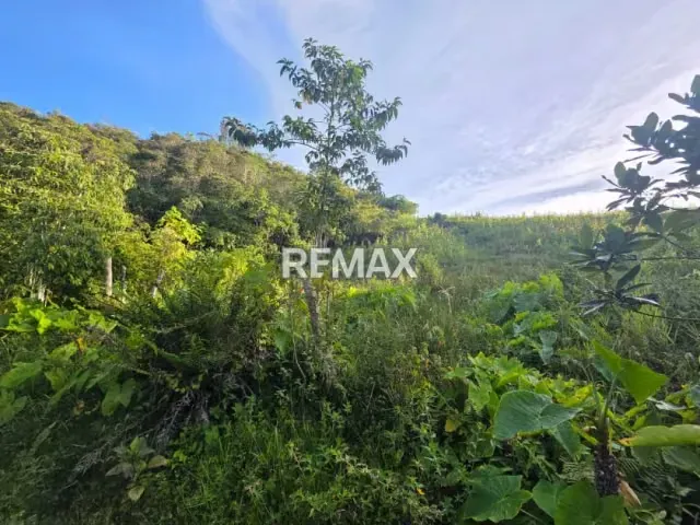 SE VENDE TERRENO En la Llanada, Vía Casa Del Padre, Municipio Lobatera, Táchira - 7
