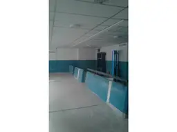 Vista 11