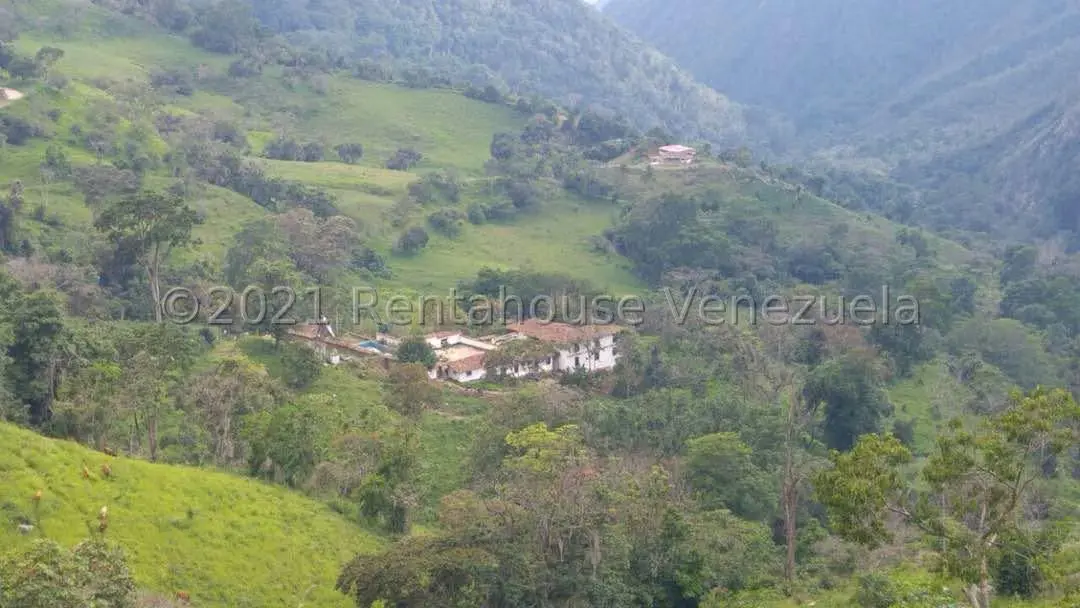 Terreno (Comercial) en Venta en Sector Parroquia Matriz, Merida