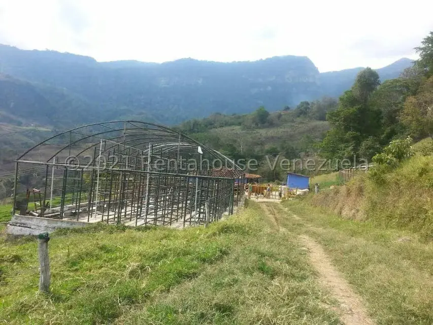 Terreno (Comercial) en Venta en Sector Parroquia Matriz, Merida - 11