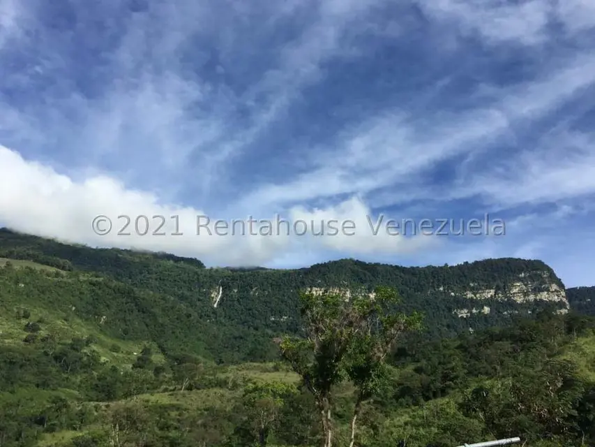Terreno (Comercial) en Venta en Sector Parroquia Matriz, Merida - 13