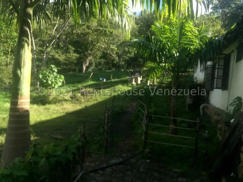 Terreno (Comercial) en Venta en Sector Parroquia Matriz, Merida - 9