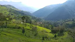 Vista 10