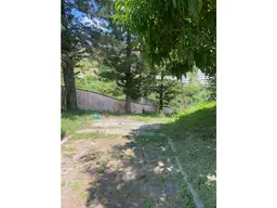Vista 11