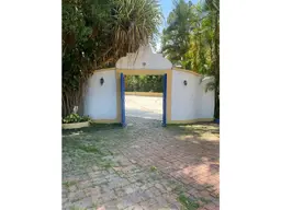 Vista 6