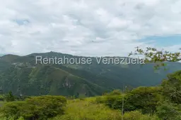 View 31