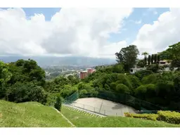 Vista 19