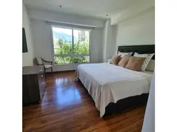 Vista 11