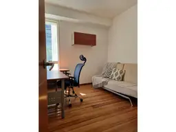Vista 17