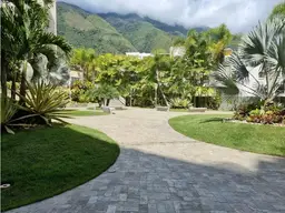 Vista 22