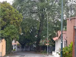 View 29