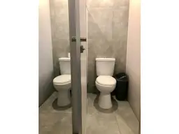 Vista 5