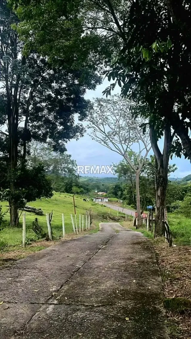 SE VENDE FINCA EN ABEJALES - 6