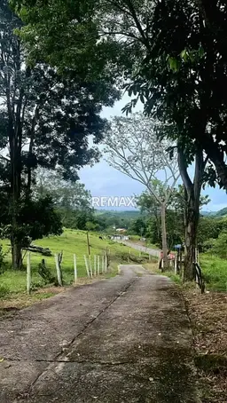View 6