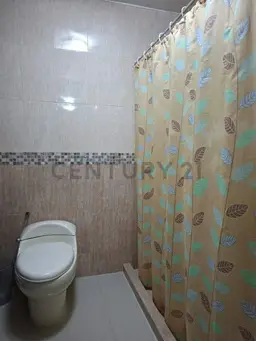 View 14