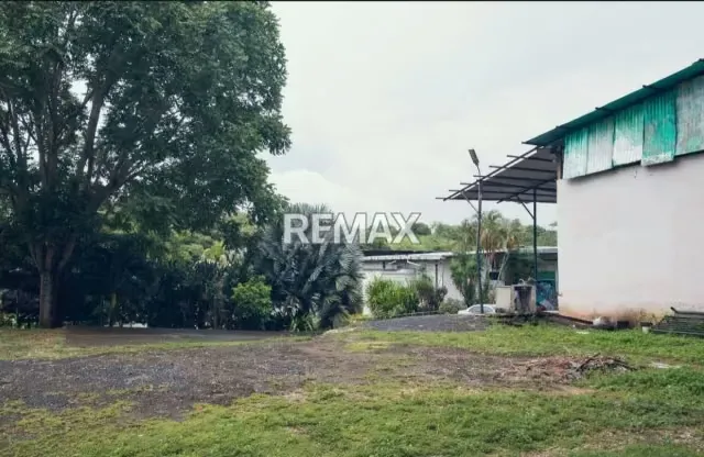 SE VENDE CONJUNTO DE GALPONES SOBRE AMPLIO TERRENO - 3
