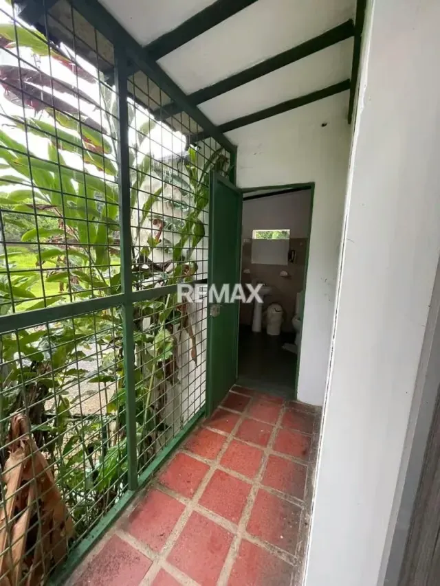 SE VENDE CONJUNTO DE GALPONES SOBRE AMPLIO TERRENO - 5