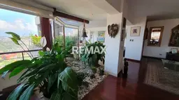 Vista 4