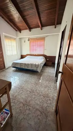 Vista 19