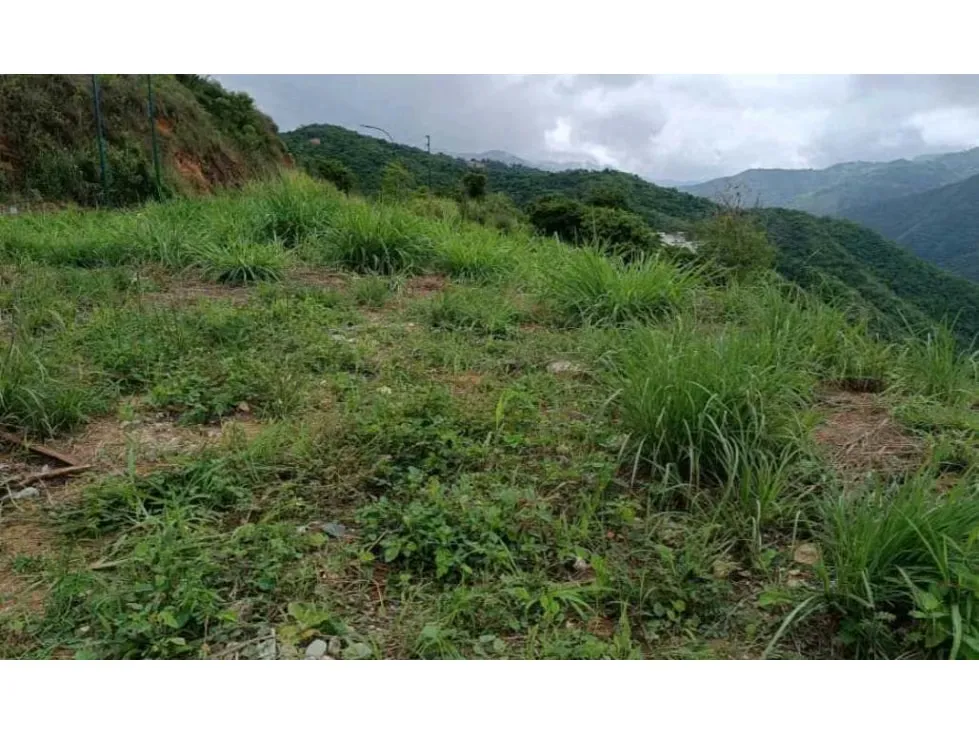 Venta de Terreno 3891 M2 Bosques de La Lagunita - 4