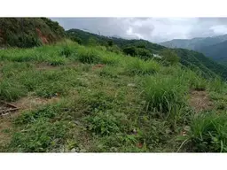 View 4