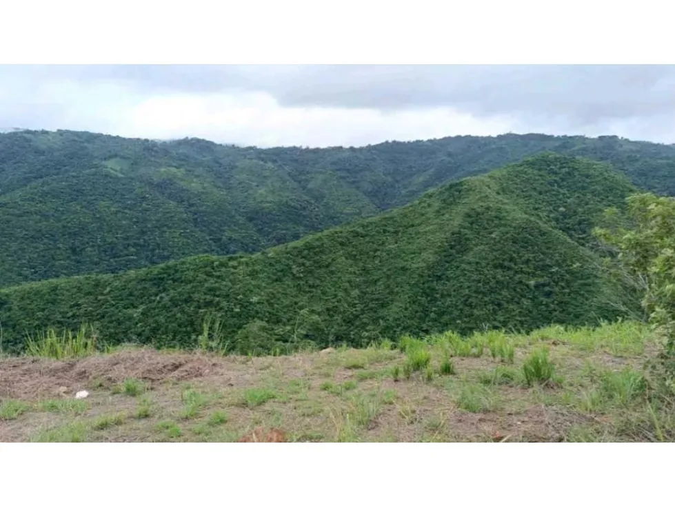 Venta de Terreno 3891 M2 Bosques de La Lagunita - 6