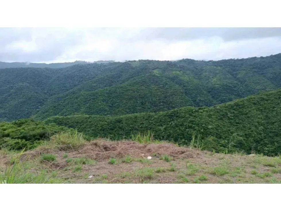 Venta de Terreno 3891 M2 Bosques de La Lagunita - 7