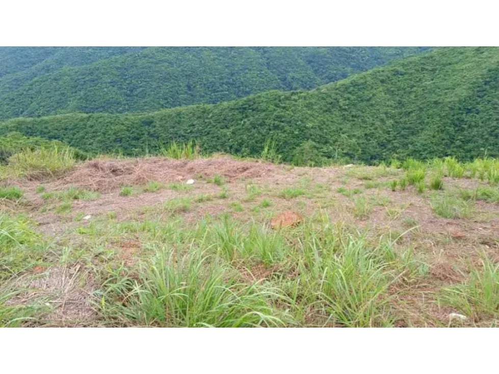 Venta de Terreno 3891 M2 Bosques de La Lagunita - 10