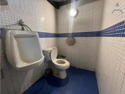 Vista 17