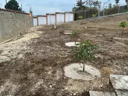 View 21