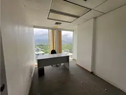 Vista 11