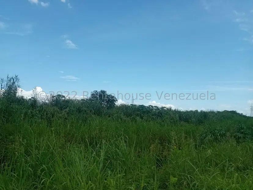Terreno (Residencial) en Venta en Flor Amarillo, Carabobo