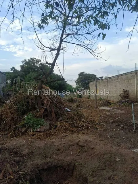 Terreno (Comercial) en Venta en Centro, Lara - 6