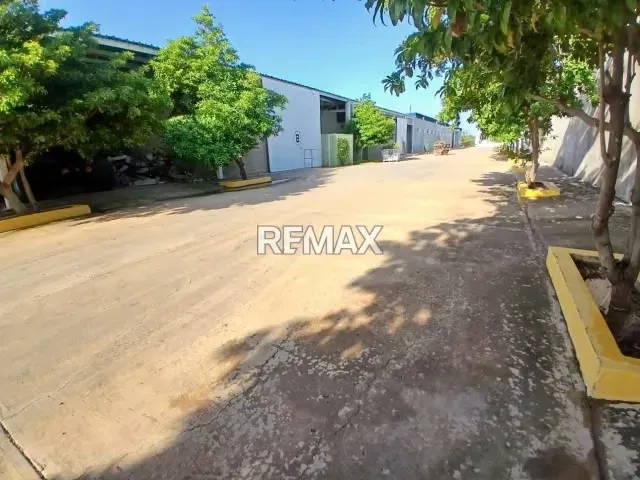 Se Alquila Galpón operativo Coro Edo. Falcón - 4