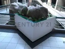 Vista 21