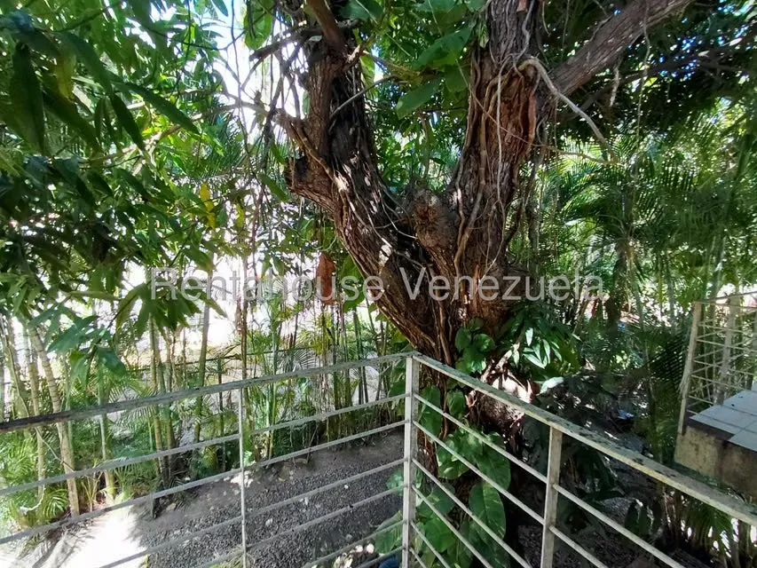 Casa (Duplex) en Venta en La Asuncion, Nueva Esparta - 35