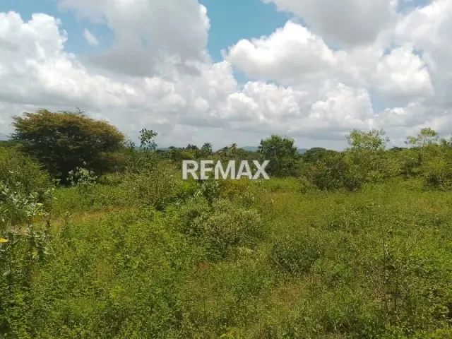 Venta terreno Asentamiento campesino La Mata - 2