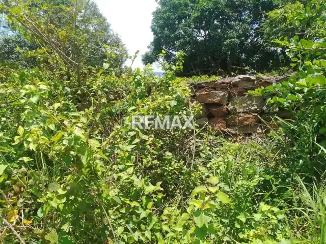 Venta terreno Asentamiento campesino La Mata - 3
